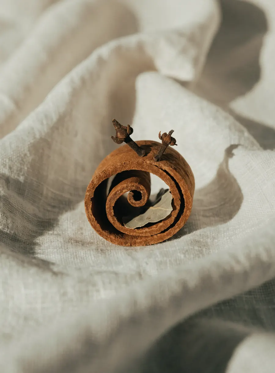 A curled cinnamon stick with two whole cloves and a small bay leaf nestled inside, against soft cream linen.